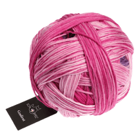 Schoppel Wolle Yarn Pink Affaire SCHOPPEL | Gradient | 1395