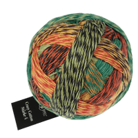 Schoppel Wolle Yarn Planet Autumn SCHOPPEL | Crazy Cotton Stärke 4 | 1861