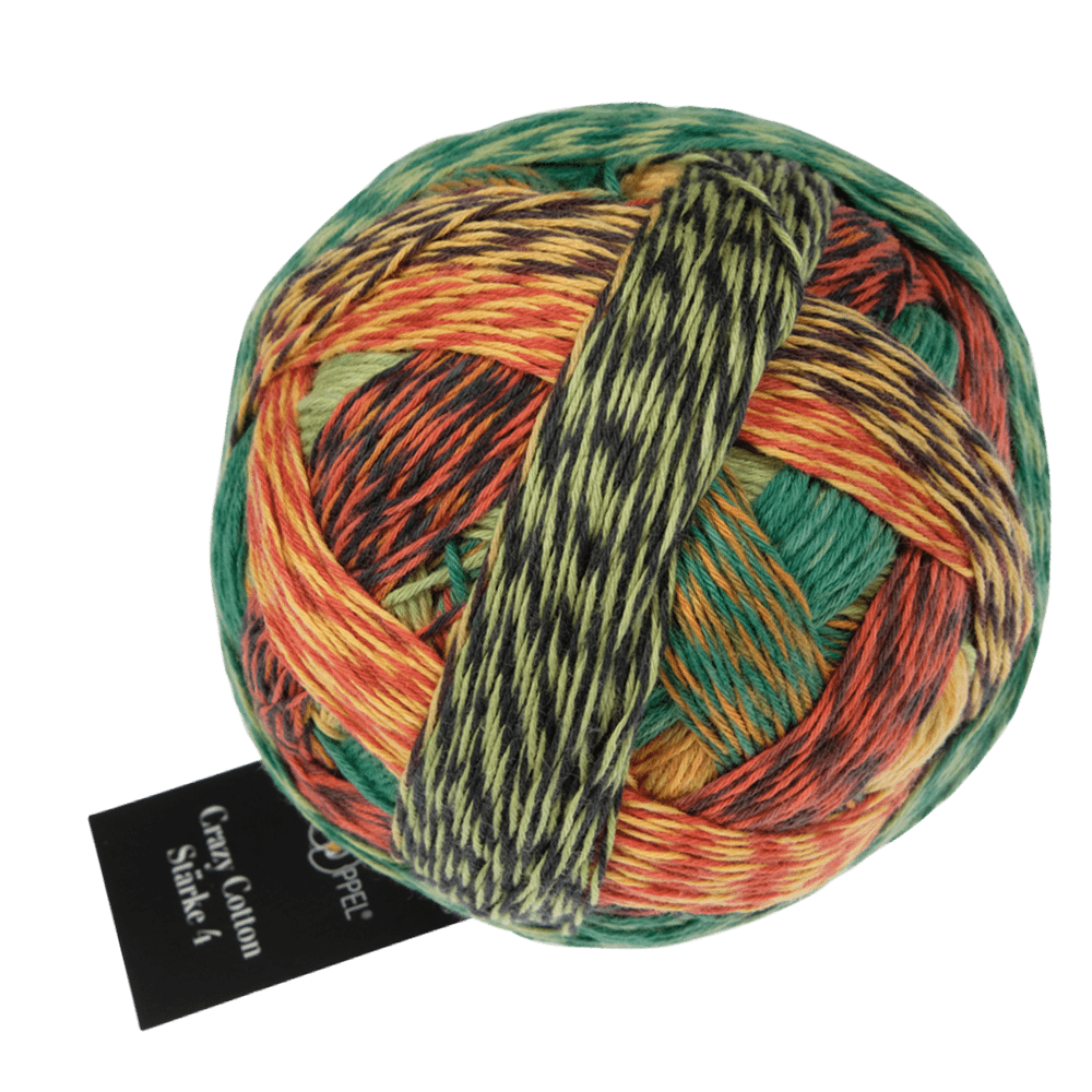 Schoppel Wolle Yarn Planet Autumn SCHOPPEL | Crazy Cotton Stärke 4 | 1861