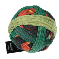 Schoppel Wolle Yarn Planet Autumn SCHOPPEL | Zauberball® Cotton | 1576