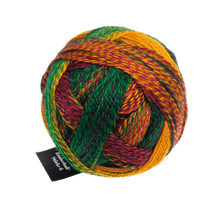 Schoppel Wolle Yarn Potpourri SCHOPPEL | Sock Yarn | Zauberball® Stärke 6 | 1289