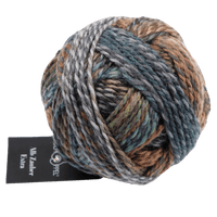 Schoppel Wolle Yarn Puppy-Eyed 2531 SCHOPPEL | Sock Yarn | Alb Zauber Extra | 1948