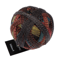 Schoppel Wolle Yarn Rainbow Spots SCHOPPEL | Edition 6 | 1516