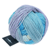 Schoppel Wolle Yarn Rush Hour SCHOPPEL | Gradient | 1395