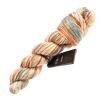 Schoppel Wolle Yarn Scattershot SCHOPPEL | Sock Yarn | das Paar | 1566P
