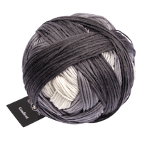 Schoppel Wolle Yarn Shadows SCHOPPEL | Gradient | 1395