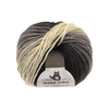 Schoppel Wolle Yarn Shadows SCHOPPEL | Reggae Ombré | 690ombre