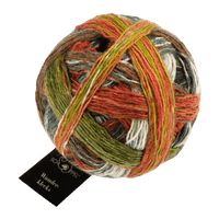Schoppel Wolle Yarn Shin Kyo Bridge SCHOPPEL | Sock Yarn | Wunderklecks | 1342