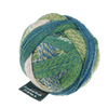 Schoppel Wolle Yarn Shooting Star SCHOPPEL | Sock Yarn | Zauberball® Stärke 6 | 1289