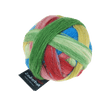Schoppel Wolle Yarn Snickelway SCHOPPEL | Sock Yarn | Zauberball® | 1155