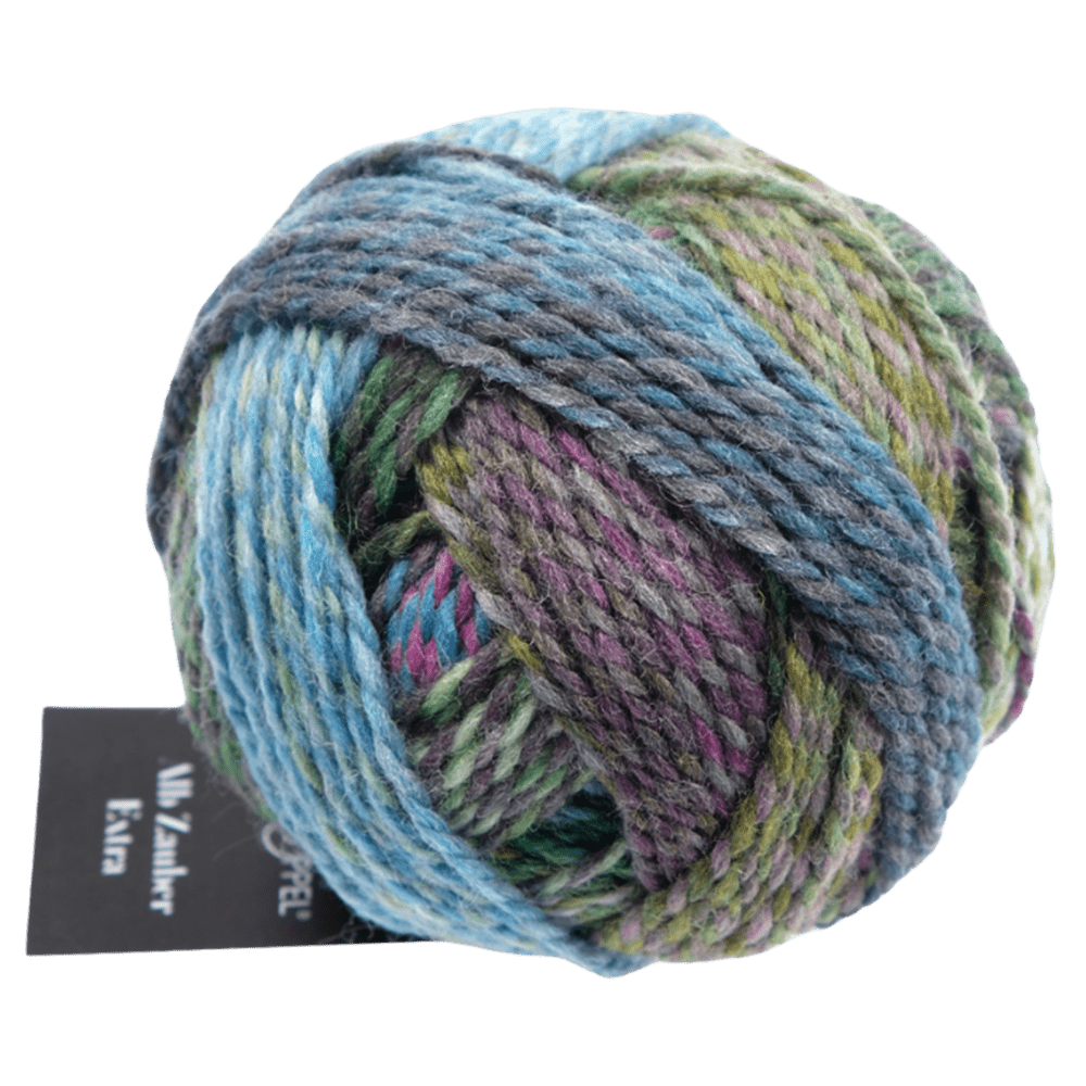 Schoppel Wolle Yarn Spin Cycle 2529 SCHOPPEL | Sock Yarn | Alb Zauber Extra | 1948