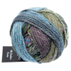 Schoppel Wolle Yarn Spin Cycle 2529 SCHOPPEL | Sock Yarn | Alb Zauber Extra | 1948