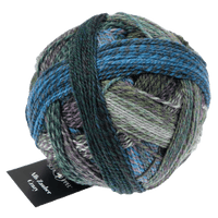 Schoppel Wolle Yarn Spin Cycle 2529 SCHOPPEL WOLLE | Sock Yarn | Alb Zauber Crazy | 1947