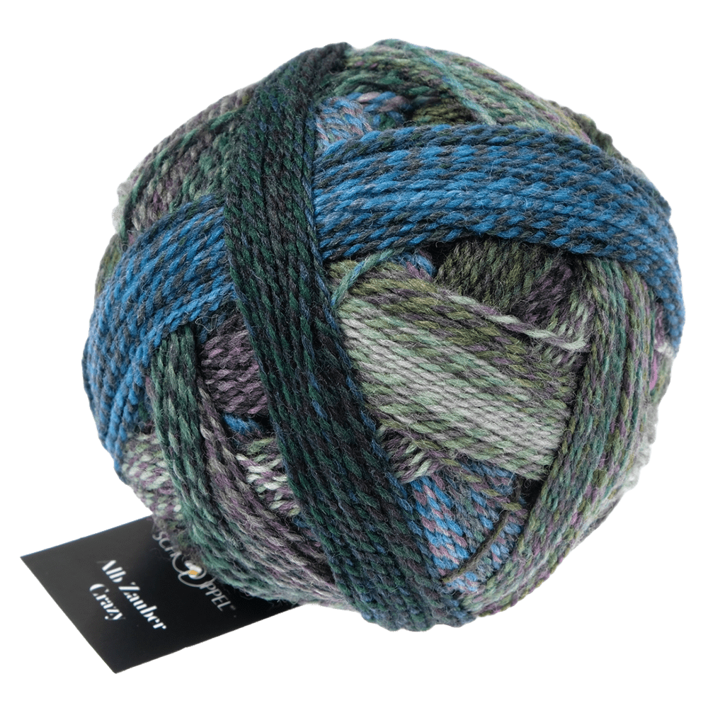 Schoppel Wolle Yarn Spin Cycle 2529 SCHOPPEL WOLLE | Sock Yarn | Alb Zauber Crazy | 1947
