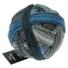 Schoppel Wolle Yarn Spin Cycle 2529 SCHOPPEL WOLLE | Sock Yarn | Alb Zauber Crazy | 1947