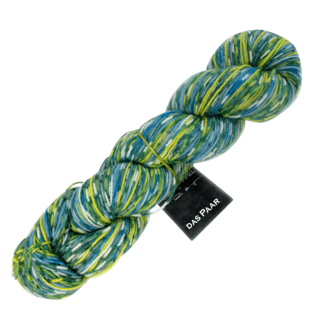 Schoppel Wolle Yarn Spring Cleaning SCHOPPEL | Sock Yarn | das Paar | 1566P