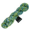 Schoppel Wolle Yarn Spring Cleaning SCHOPPEL | Sock Yarn | das Paar | 1566P