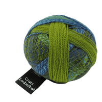 Schoppel Wolle Yarn Spring has Come! SCHOPPEL | Sock Yarn | Zauberball® Crazy | 1153