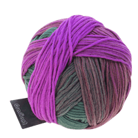 Schoppel Wolle Yarn Tea Ceremony SCHOPPEL | Gradient | 1395
