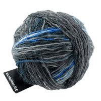 Schoppel Wolle Yarn Titanic SCHOPPEL | Sock Yarn | Wunderklecks | 1342