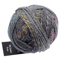 Schoppel Wolle Yarn Tracking 2533 SCHOPPEL | Sock Yarn | Alb Zauber Extra | 1948
