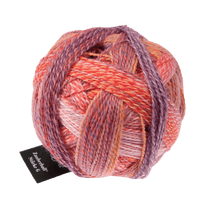 Schoppel Wolle Yarn Warm Botanical Garden Inspiration SCHOPPEL | Sock Yarn | Zauberball® Stärke 6 | 1289