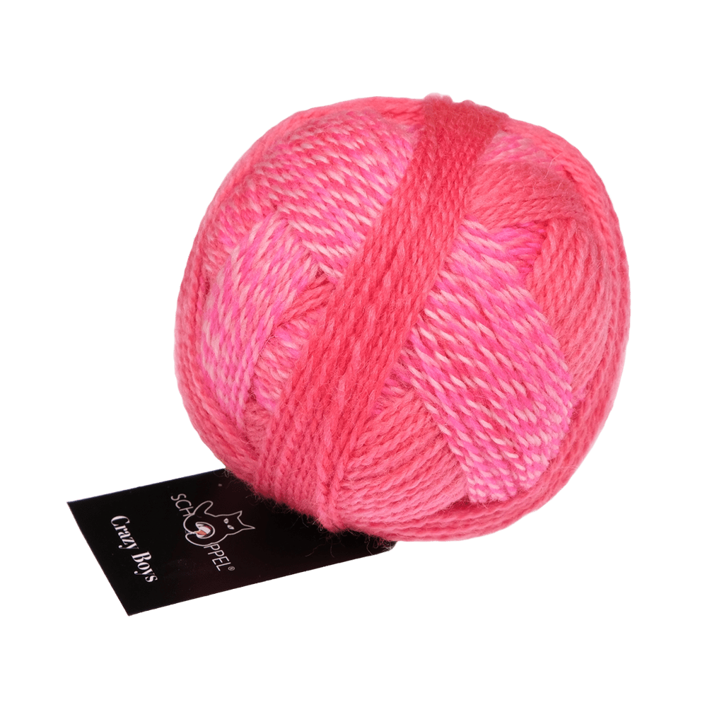 Schoppel Wolle Yarn Willy | 2701 SCHOPPEL | Sock Yarn | Crazy Boys | 2025