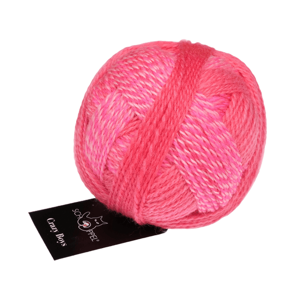 SCHOPPEL | Crazy Boys | 4 Ply | 2025