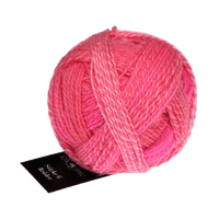 Schoppel Wolle Yarn Willy | 2701 SCHOPPEL | Sock Yarn | Stärke 6 Brüder | 2024