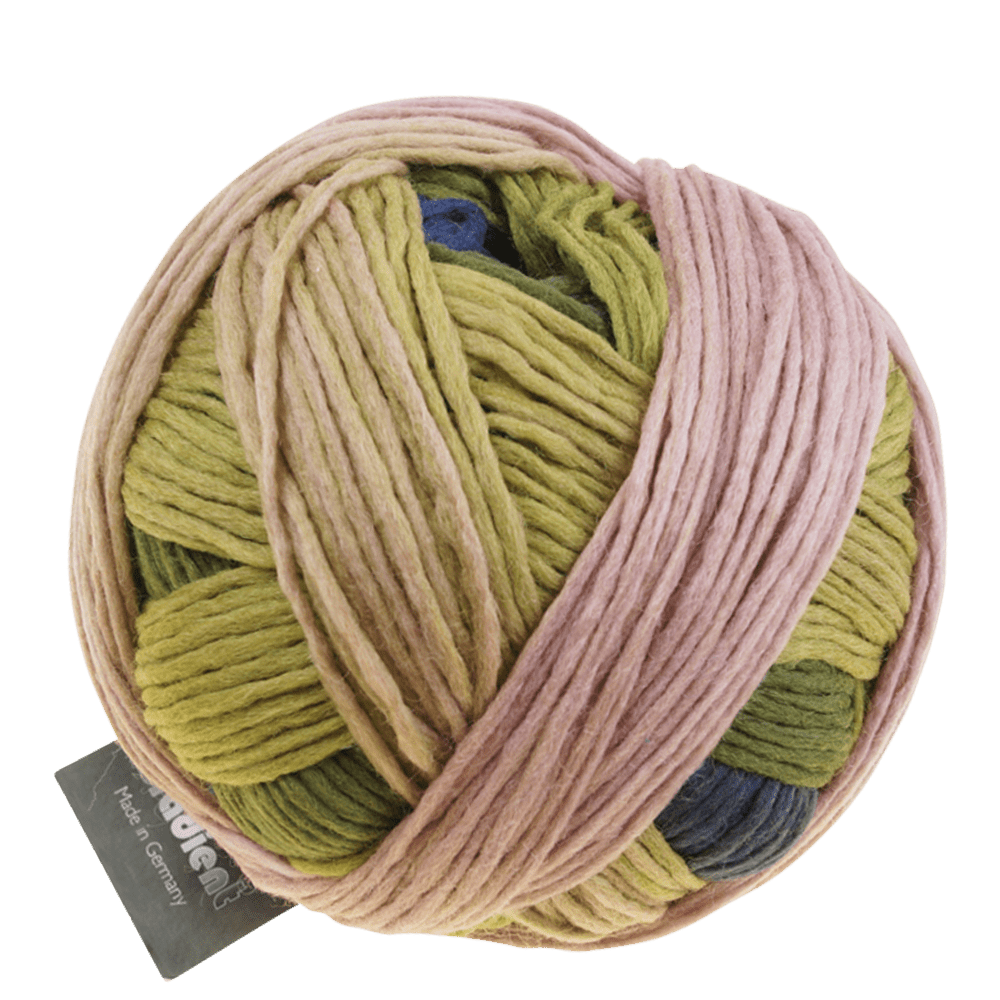 Schoppel Wolle Yarn Woman in the Woods SCHOPPEL | Gradient | 1395