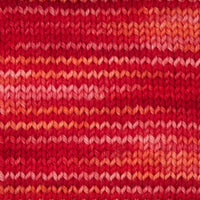 Symfonie Hand Dyed Yarns Yarn Berry Bowl Symfonie Hand-Dyed Yarns | Terra Variegated | 4-Ply