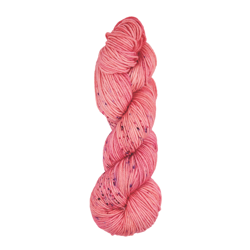 Symfonie Hand Dyed Yarns Yarn Blush Symfonie Hand-Dyed Yarns | Bella Variegated 5 Pack | Worsted / Aran