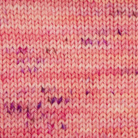Symfonie Hand Dyed Yarns Yarn Blush Symfonie Hand-Dyed Yarns | Terra Variegated | 4-Ply
