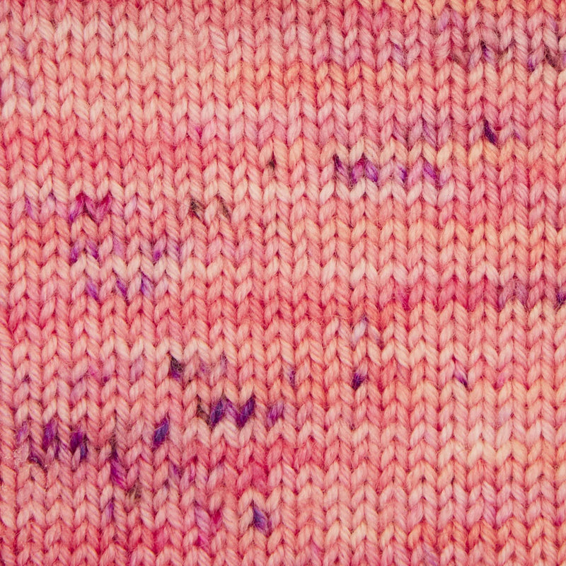 Symfonie Hand Dyed Yarns Yarn Blush Symfonie Hand-Dyed Yarns | Terra Variegated | 4-Ply