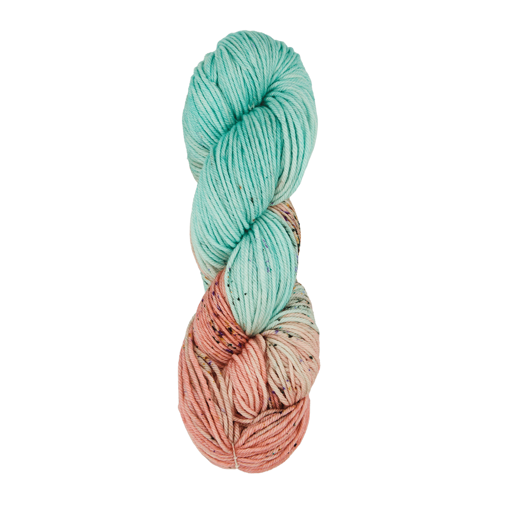 Symfonie Hand Dyed Yarns Yarn Bonnie Blooms Symfonie Hand-Dyed Yarns | Bella Variegated 5 Pack | Worsted / Aran