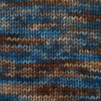 Symfonie Hand Dyed Yarns Yarn Cabin in the Woods Symfonie Hand-Dyed Yarns | Terra Variegated | 4-Ply