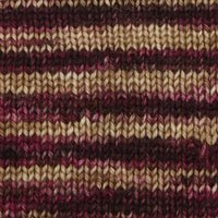 Symfonie Hand Dyed Yarns Yarn Cafe Rose Symfonie Hand-Dyed Yarns | Terra Variegated | 4-Ply