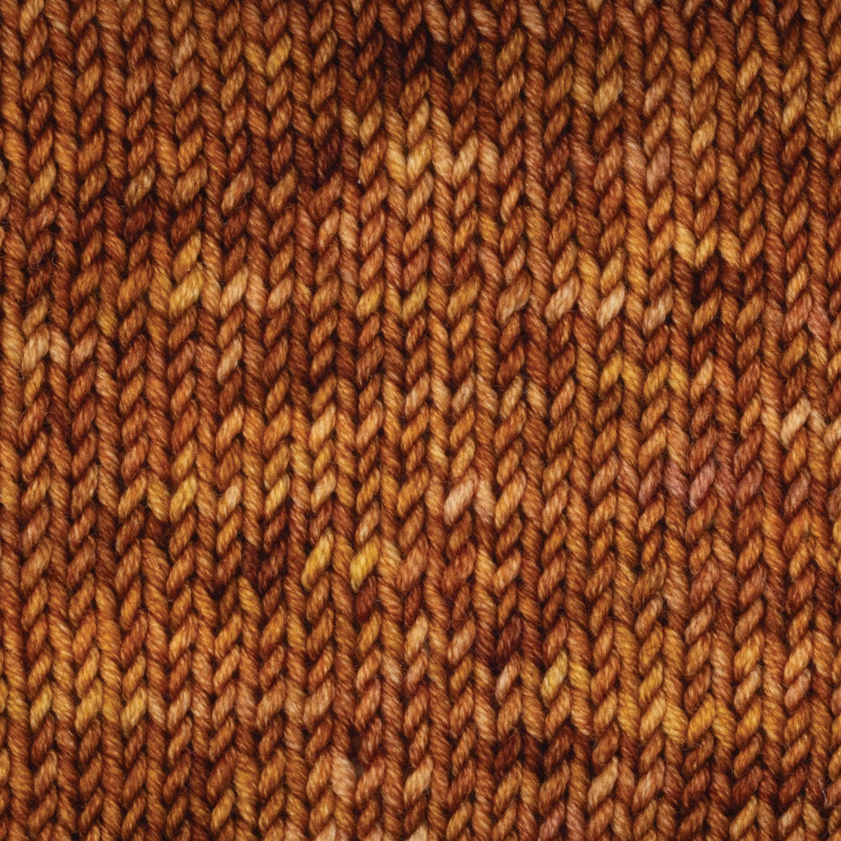 Symfonie Hand Dyed Yarns Yarn Caramel Symfonie Hand-Dyed Yarns | Viva Variegated | DK