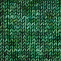Symfonie Hand Dyed Yarns Yarn Fernfall Symfonie Hand-Dyed Yarns | Bella Variegated | Worsted / Aran