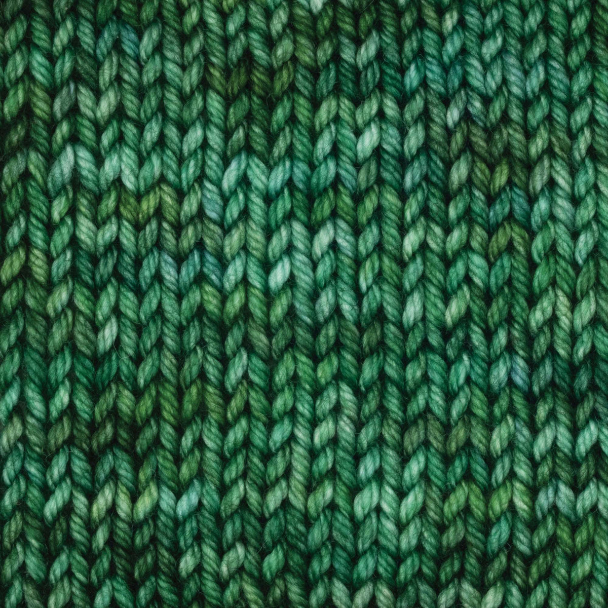 Symfonie Hand Dyed Yarns Yarn Fernfall Symfonie Hand-Dyed Yarns | Bella Variegated | Worsted / Aran