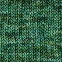 Symfonie Hand Dyed Yarns Yarn Fernfall Symfonie Hand-Dyed Yarns | Viva Variegated | DK
