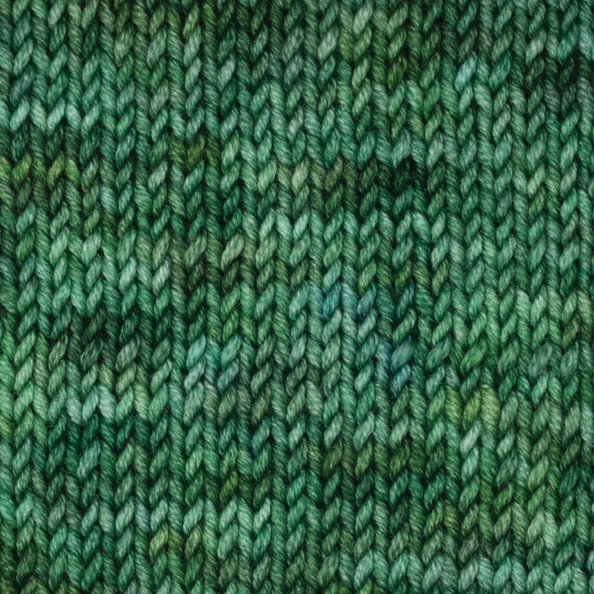Symfonie Hand Dyed Yarns Yarn Fernfall Symfonie Hand-Dyed Yarns | Viva Variegated | DK
