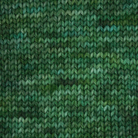 Symfonie Hand Dyed Yarns Yarn Frernfall Symfonie Hand-Dyed Yarns | Terra Variegated | 4-Ply