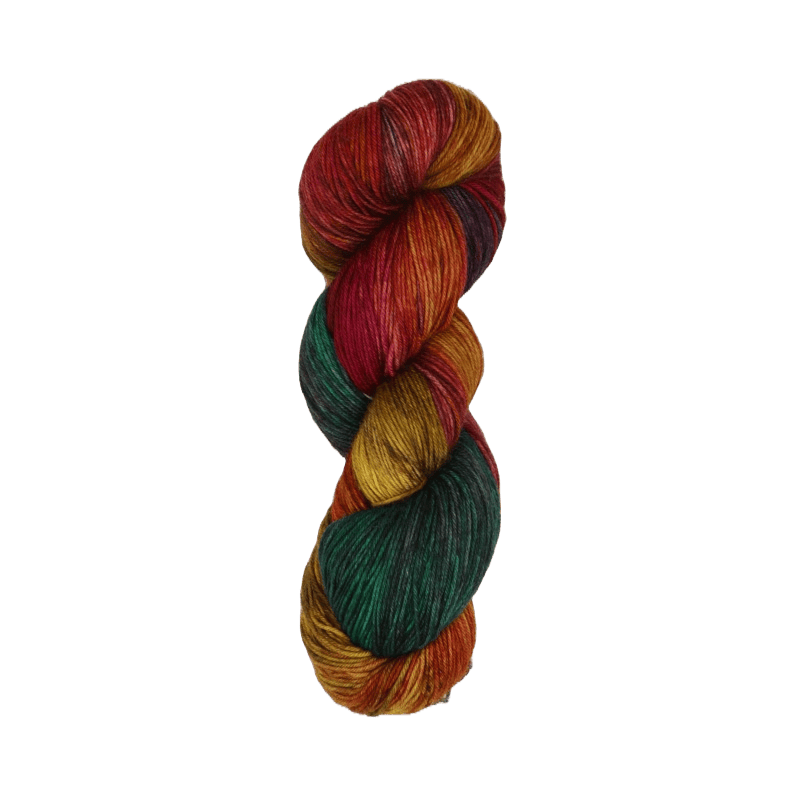 Symfonie Hand Dyed Yarns Yarn Harvest Vine Symfonie Hand-Dyed Yarns | Bella Variegated 5 Pack | Worsted / Aran