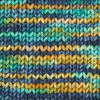 Symfonie Hand Dyed Yarns Yarn Himalayas Symfonie Hand-Dyed Yarns | Bella Variegated | Worsted / Aran