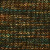 Symfonie Hand Dyed Yarns Yarn Himalayas Symfonie Hand-Dyed Yarns | Terra Variegated | 4-Ply