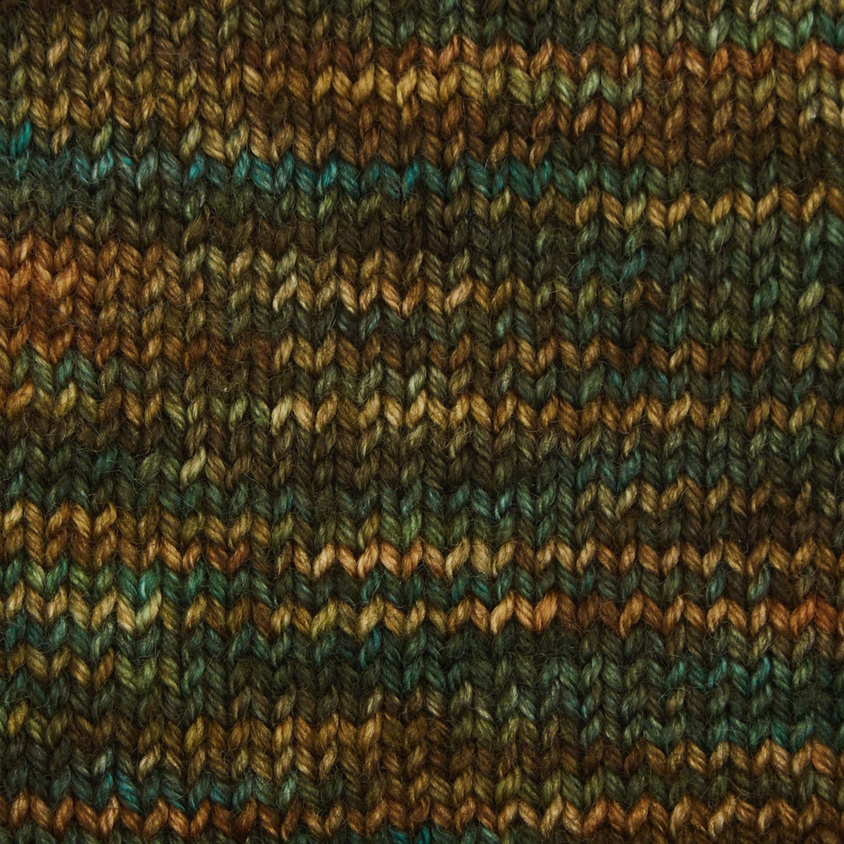 Symfonie Hand Dyed Yarns Yarn Himalayas Symfonie Hand-Dyed Yarns | Terra Variegated | 4-Ply