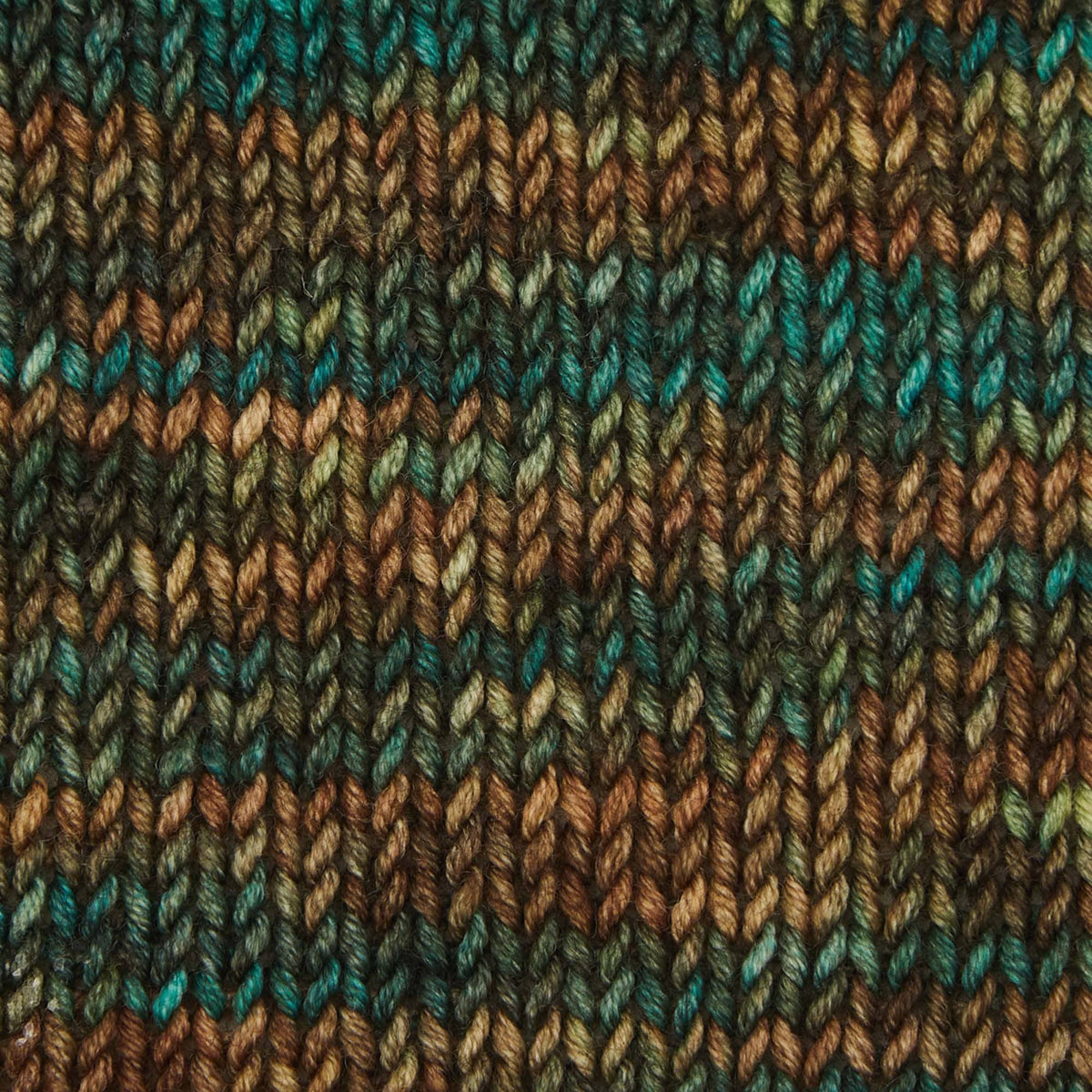 Symfonie Hand Dyed Yarns Yarn Himalayas Symfonie Hand-Dyed Yarns | Viva Variegated | DK