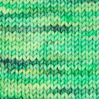 Symfonie Hand Dyed Yarns Yarn Jungle Secrets Symfonie Hand-Dyed Yarns | Bella Variegated | Worsted / Aran