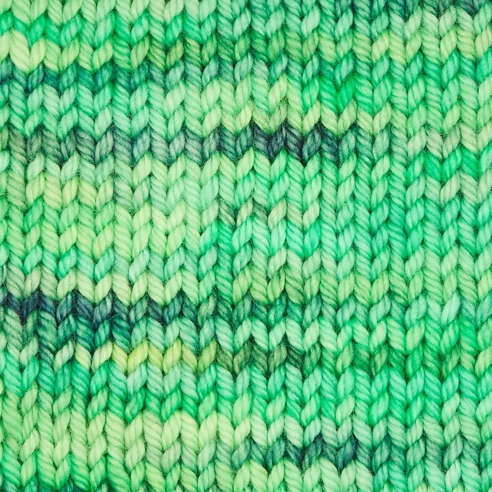 Symfonie Hand Dyed Yarns Yarn Jungle Secrets Symfonie Hand-Dyed Yarns | Bella Variegated | Worsted / Aran